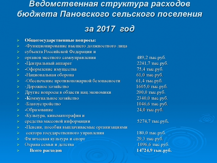 Отчет об исполнении бюджета Пановского сельского поселения за 2017 год