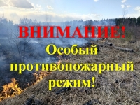 В Ивановской области введен особый противопожарный режим!