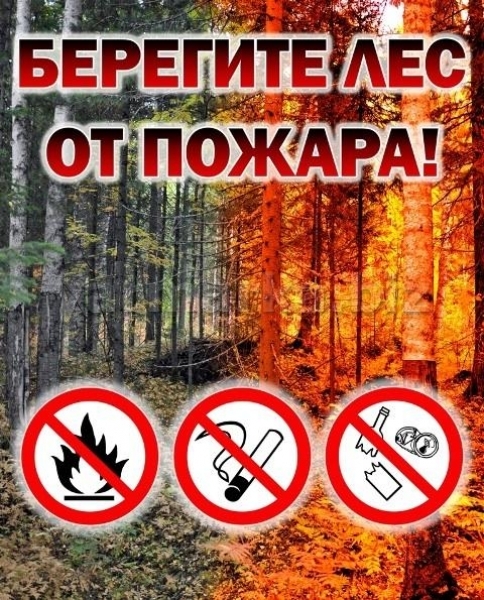 В Ивановской области введен особый противопожарный режим!